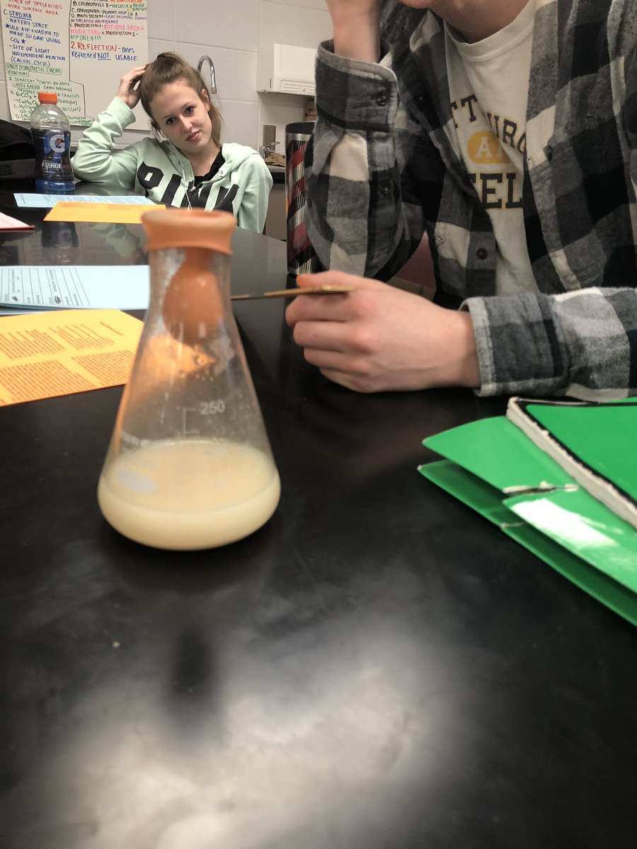 MsDaeschner's tweet photo. Testing their hypothesis on how sugar impacts cellular respiration. Justifying what led to some experiments failing. Leading them to design their own experiment next week! #WeAreJCPS #jcpsdl #scienceinquiry https://t.co/ZUpOindxIF