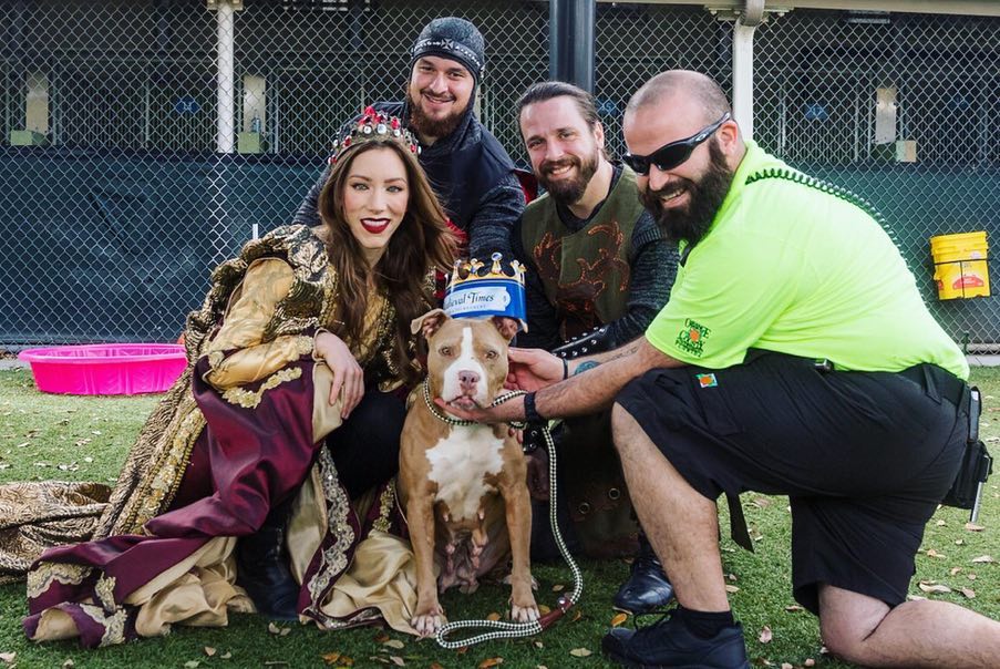 MedievalTimes's tweet photo. Our Queen and Knights love to visit their local animal shelter to donate items and visit the animals! 👑🐶🐱 What kind random acts of kindness are you doing this week? 💙 #RAKWeek2019 #ChivalryInAction https://t.co/7sMARiVzFC