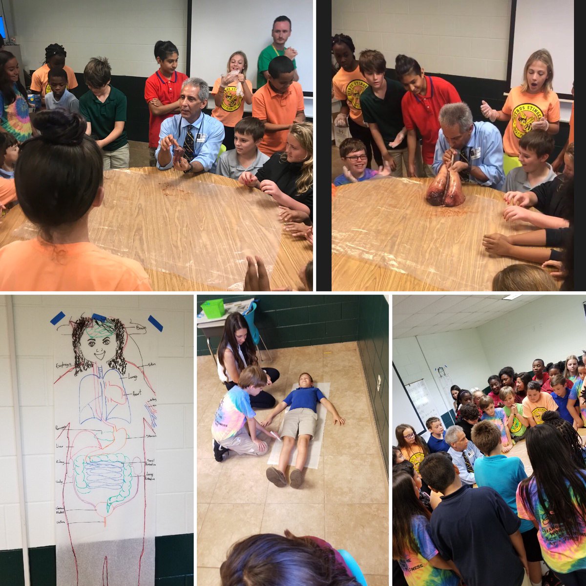 5th graders learned about body systems today and then had an amazing visit with a doctor to see animal organs! 5th grade teachers state they’ll never forget this!🐝