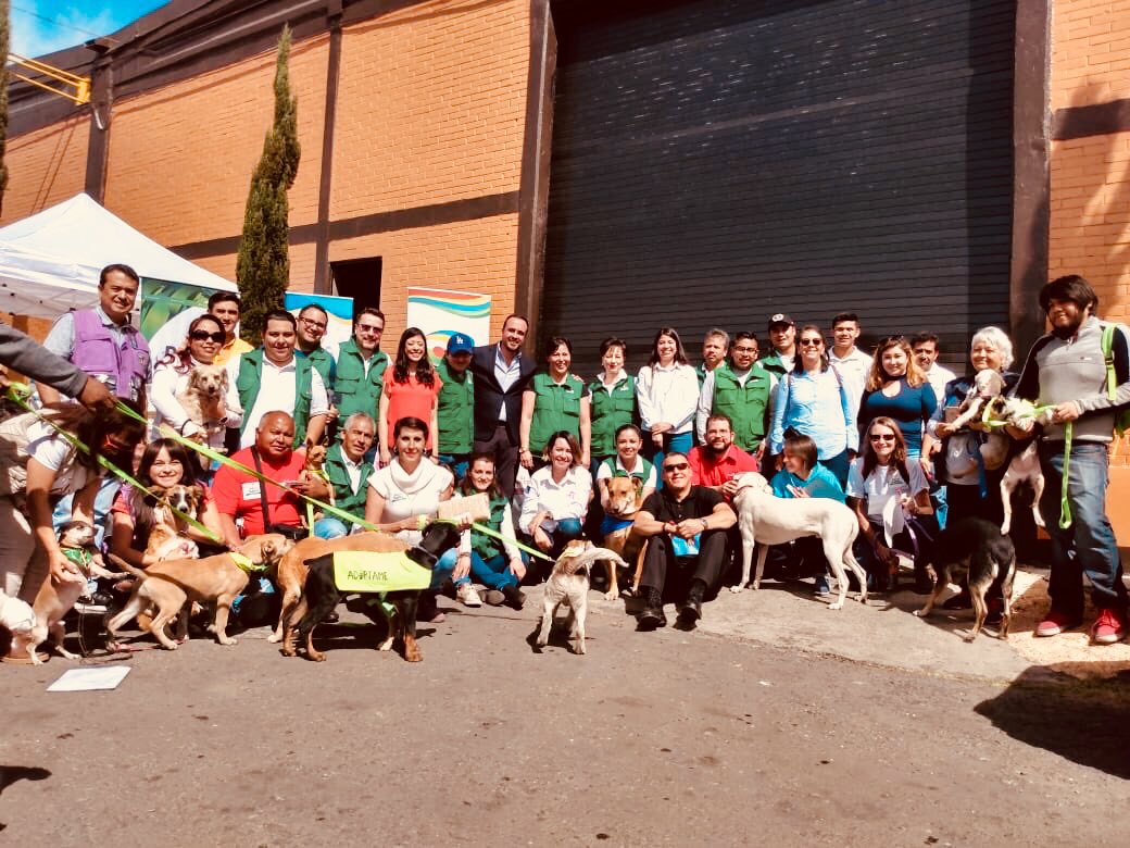 CEIzcuintle's tweet photo. ¡Muchas gracias @FundacionAzteca por el donativo de croquetas para los 🐶🐶🐶 de CEI! 🐾🐾🐾
¡GuauGracias @LauPortePetit Directora de #RedSocialAz, y a Lidia López por sus amables atenciones! 🙏🏽
¡Que perrón viernes! 💚 https://t.co/wObAC0UDf5