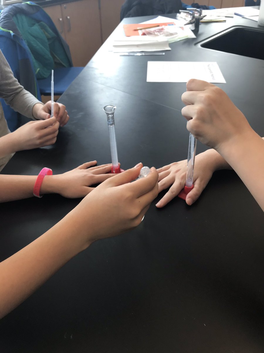WSEMisceCohort's tweet photo. What an amazing afternoon! Ss learned so much but more importantly have so many new questions. Thank you @BVCAPS and Dr. Kessler for encouraging our #curiosity! https://t.co/PBng7KR6wv