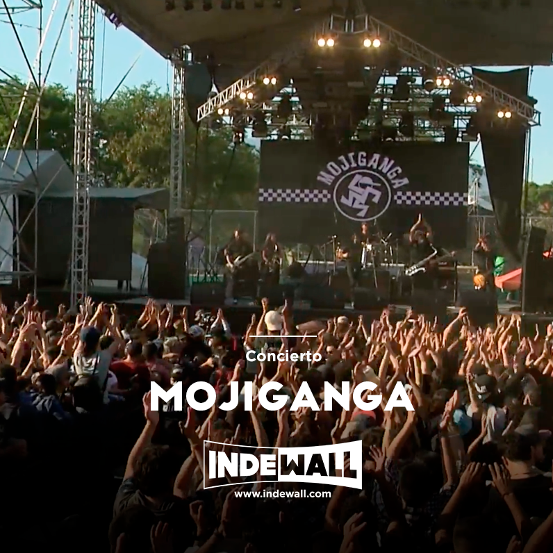 Indewallofficial tweet media