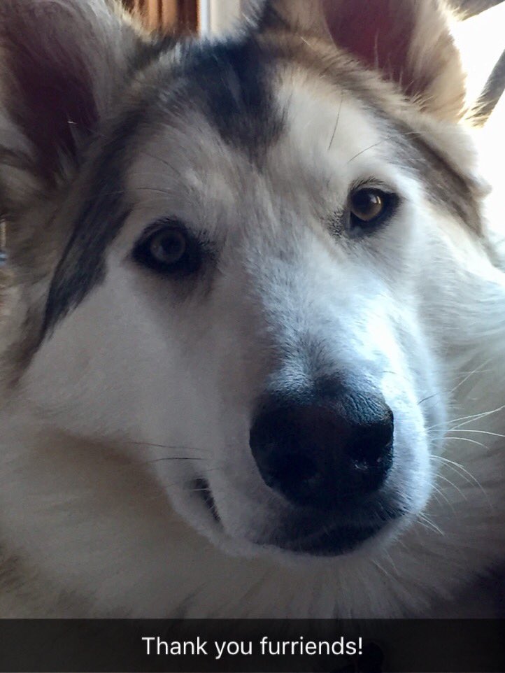 Anneliza Humlen tweet media