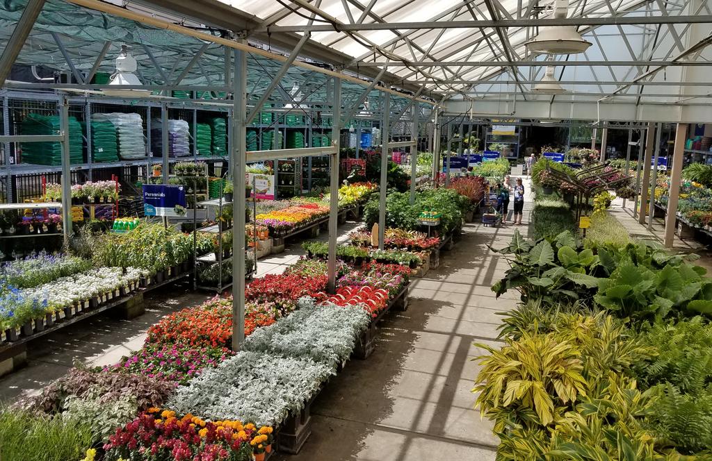 lowes_SWFlorida's tweet photo. We've been working hard for your weekend. It's going to be beautiful in SW Florida! #SWFL #gardening #lovetogarden @lowes_SWFlorida @CityofNorthPort @joseoscarbosque https://t.co/Wm6zhIumsy