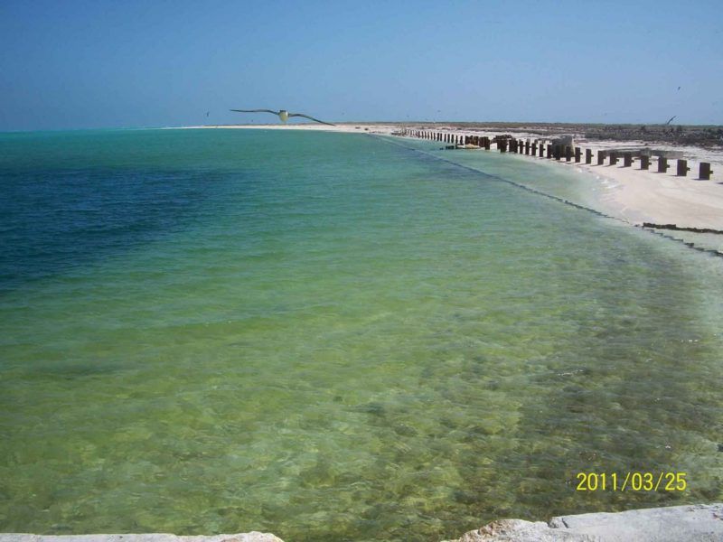 AguaMunda's tweet photo. Much of Earth’s surface ocean will shift in color by end of 21st century https://t.co/JaiOU2ZWX2 #cliimatechange #earthdayiseveryday https://t.co/BTJTdrZyKC