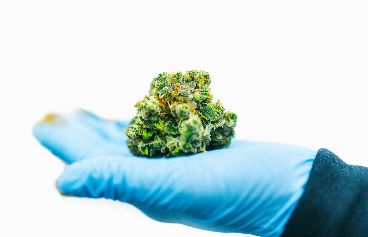 Are you ready for the weekend? Weekend vibe brought to you by Thrive. #CannabisThrives #ThriveCannabis #CraftCannabis #CannabisCommunity #Cannabis