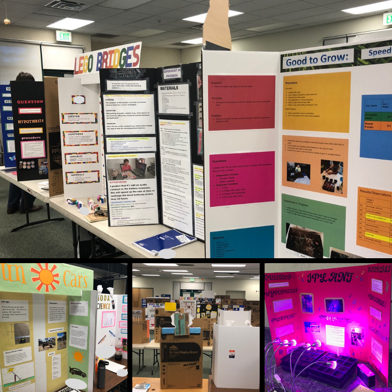 ITOFoundation's tweet photo. Thanks to @LaMaderaElem for inviting us to judge their Science Fair earlier this week. We were impressed with the entries and with the entire school community. @SVUSDSchools #SVInnovates #SVUSDShines https://t.co/PTSqHQisll