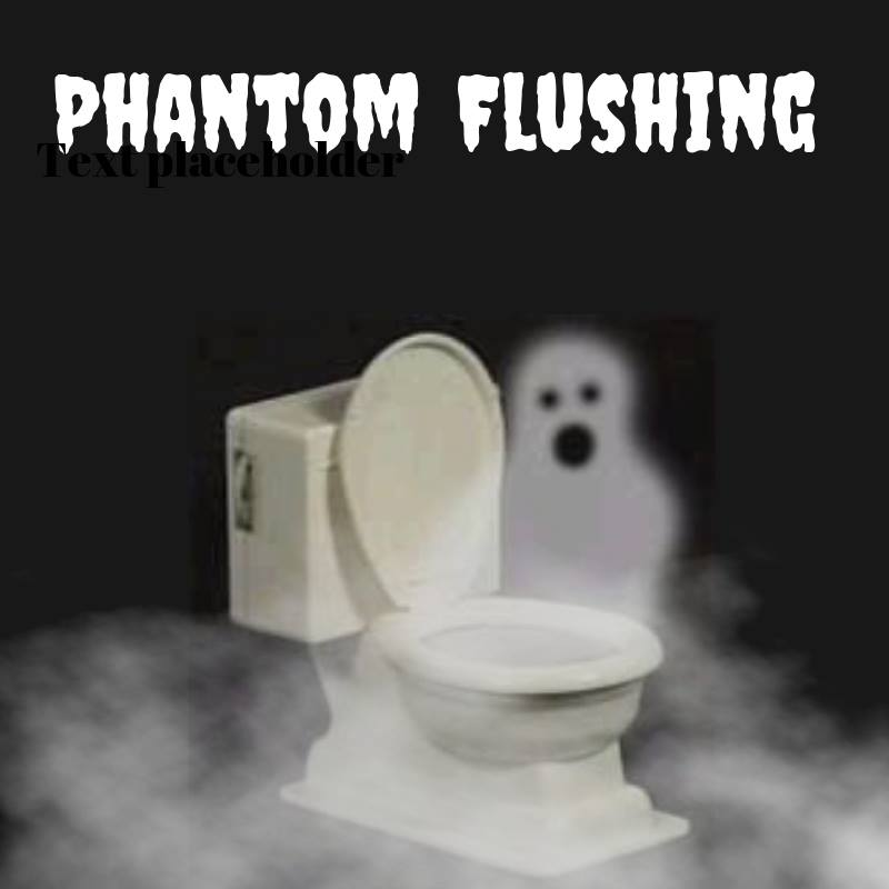 PlumbingDesign's tweet photo. If your toilet is cutting on and off by itself, or it runs intermittently, this is a problem your plumbers like to call, phantom flushing. 

If you're experiencing Phantom Flushing give us a call today!  (864) 232-4500 https://t.co/qfQmQCTjBP