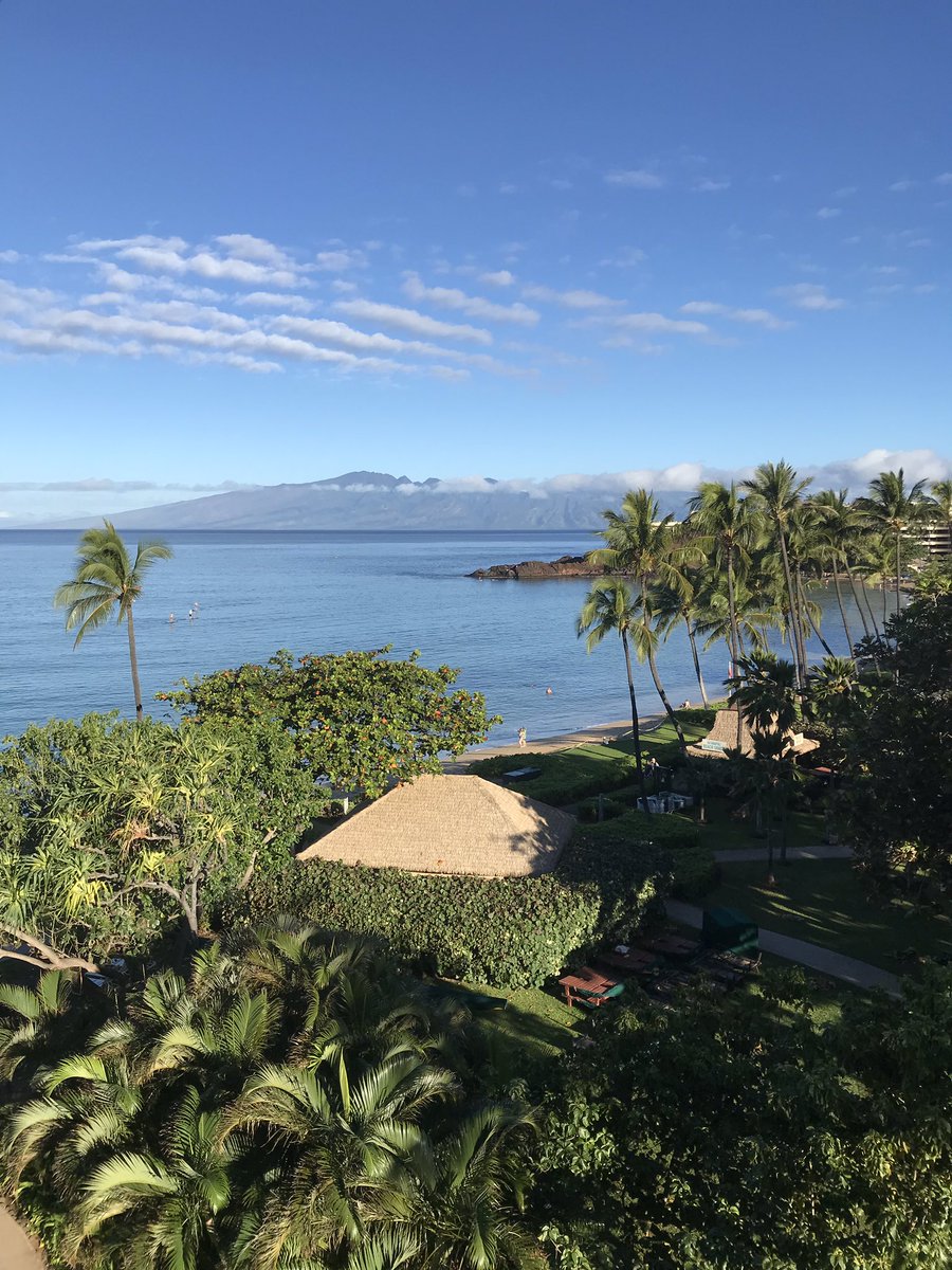 K_Rose_B's tweet photo. When you’re in Hawaii and you get two comments about @dordtcollege on your run. Dordt supporters are everywhere! https://t.co/uA2LlmwNMP