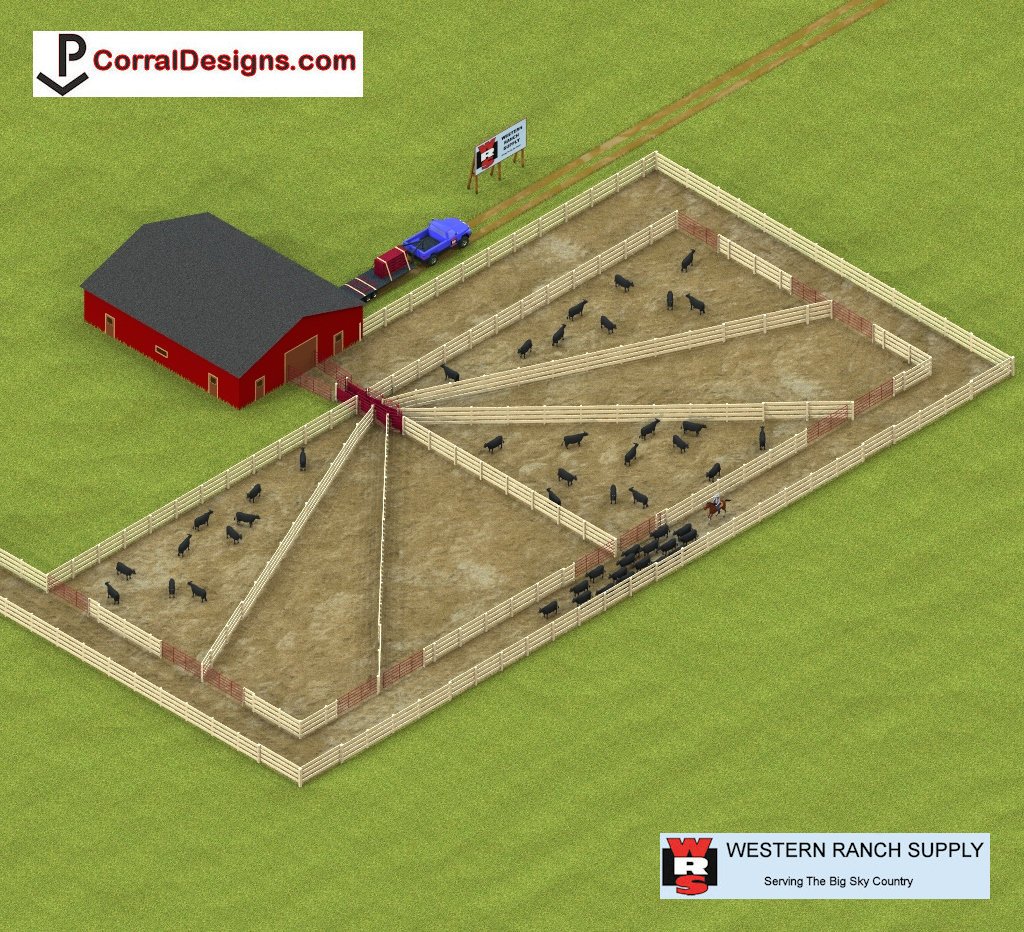Sorting System 8029 from CorralDesigns.com #Corrals #Rodeo #Stampede #Livestock #Cattle #Roping #Bison #Buffalo #Horses #Equine #Cowboy #Ranch #Farm #Country #Stalls #WRS #WesternRanchSupply