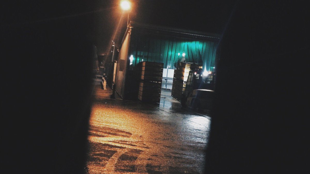 DevonAnimalSave's tweet image. Friday night at 2 Sisters, the killing goes on, another week passes, another 1 million individuals taken to the gas chamber and their bodies will fill supermarket shelves