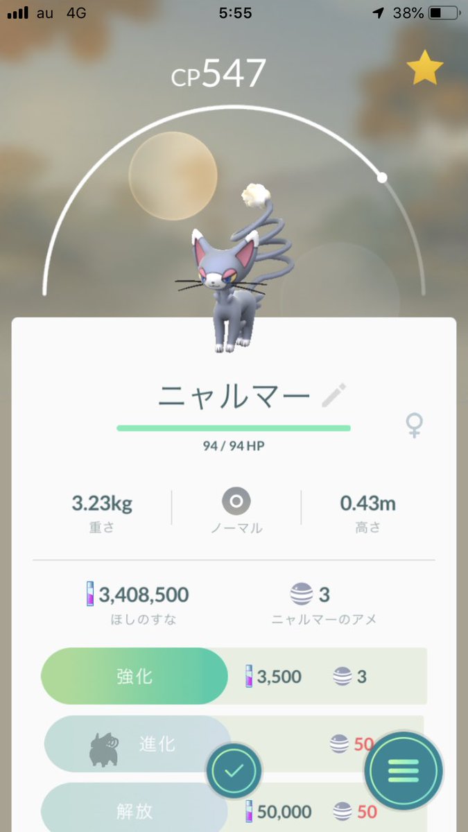 ネコ型ポケモン