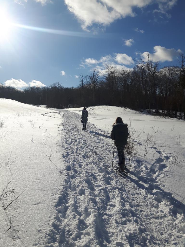 Peter James Cowan tweet media