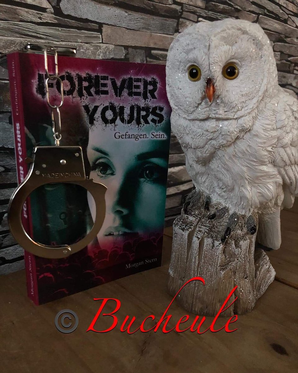 BlogderB's tweet image. Neue #rezension online. Mehr erfahrt ihr wie immer auf unserer #fb und #instagram Seite. 
#foreveryours
#morganstern
#rezensionsexemplar 
#buchblog