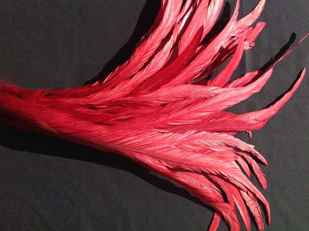 delicia Feathers (@deliciafeathers) / Posts / X
