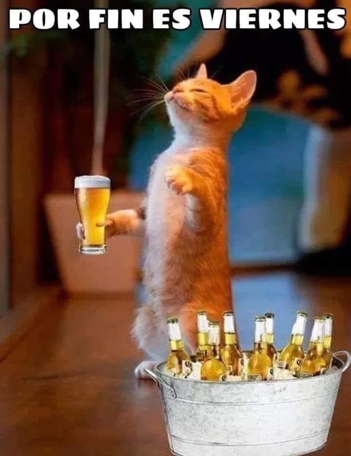 fiestaWtx's tweet image. 