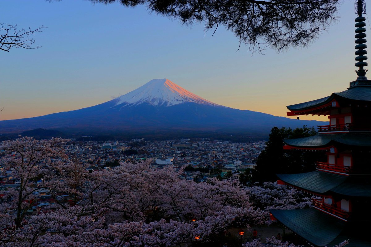 OKうえだ tweet media