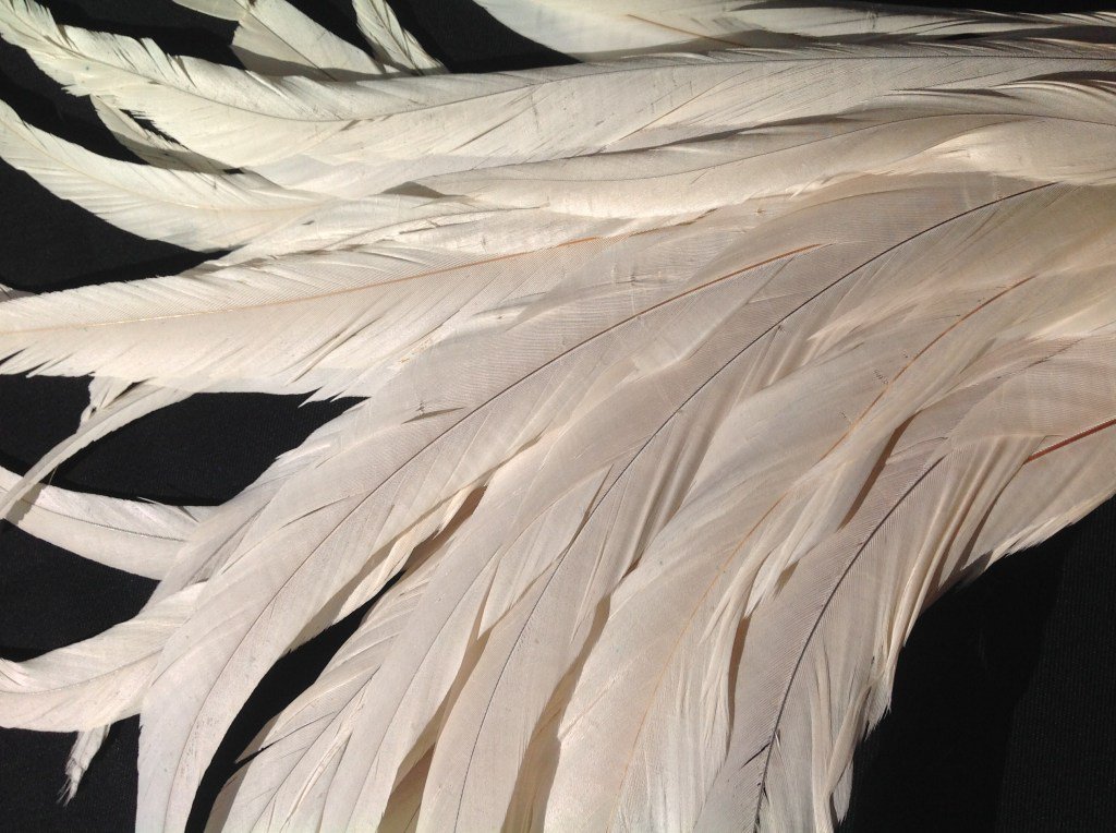 delicia Feathers (@deliciafeathers) / Posts / X