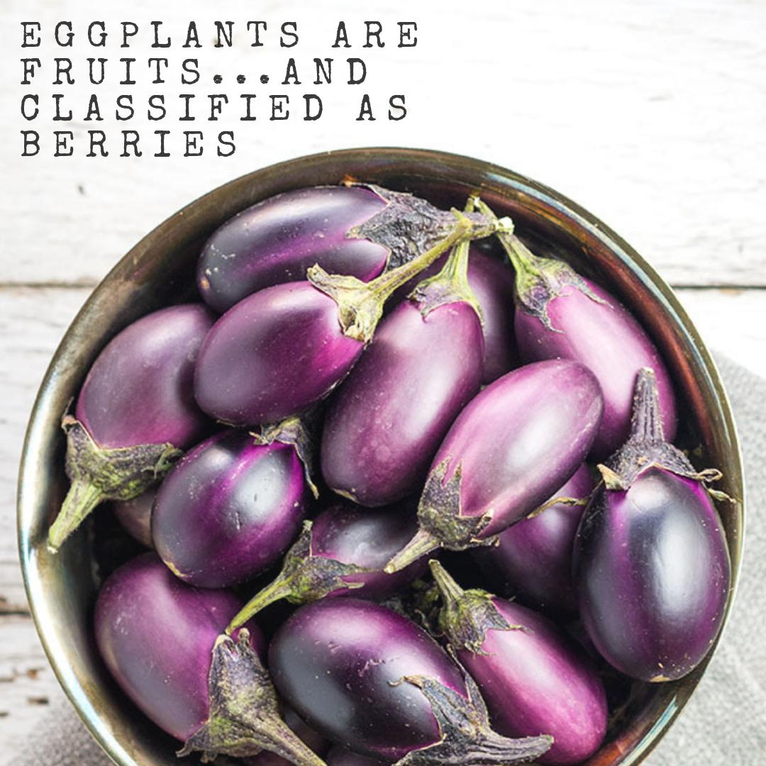 mygroguru's tweet photo. Fact of the day: #eggplants 🍆
Who in the world thought eggplants were berries?! Not me...but I sure do love a good Eggplant Parmesan 😋🍝 #goodeats #yum #funfacts #happyfriday #friyay #growers #soilhealth #groguru https://t.co/YNdKz6acbj