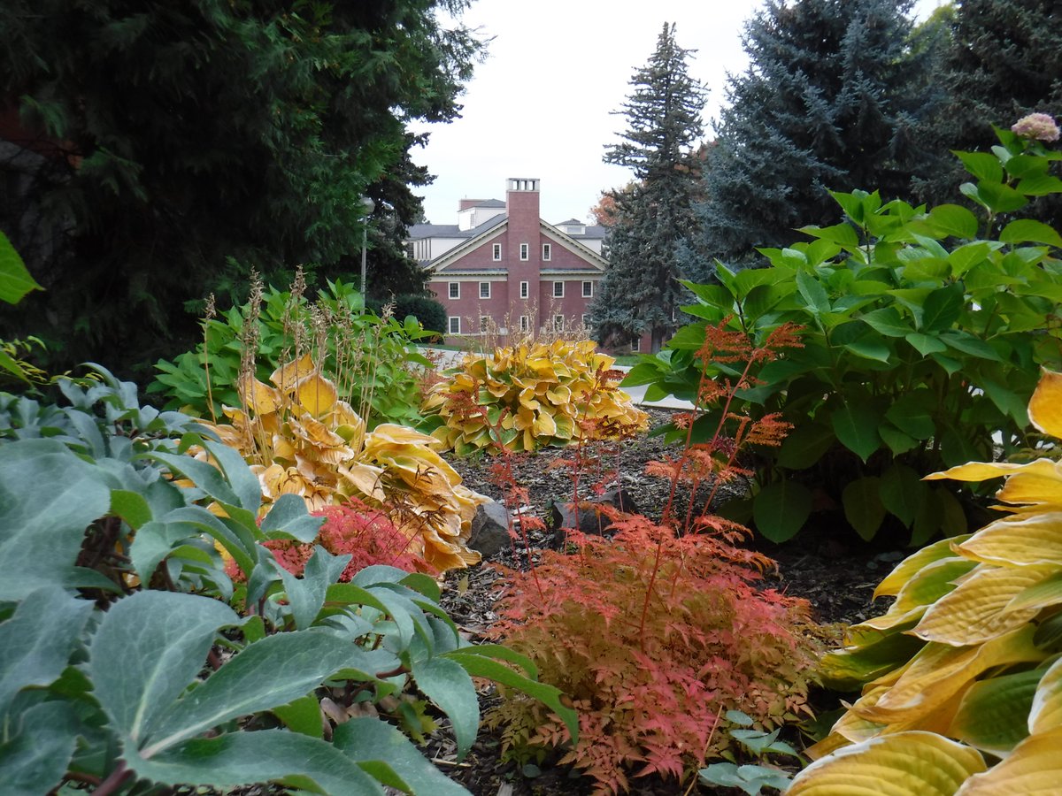 CampbellJ_'s tweet photo. #cj333pix2
Foreground, middle ground, background. https://t.co/DrDJP5NVu9