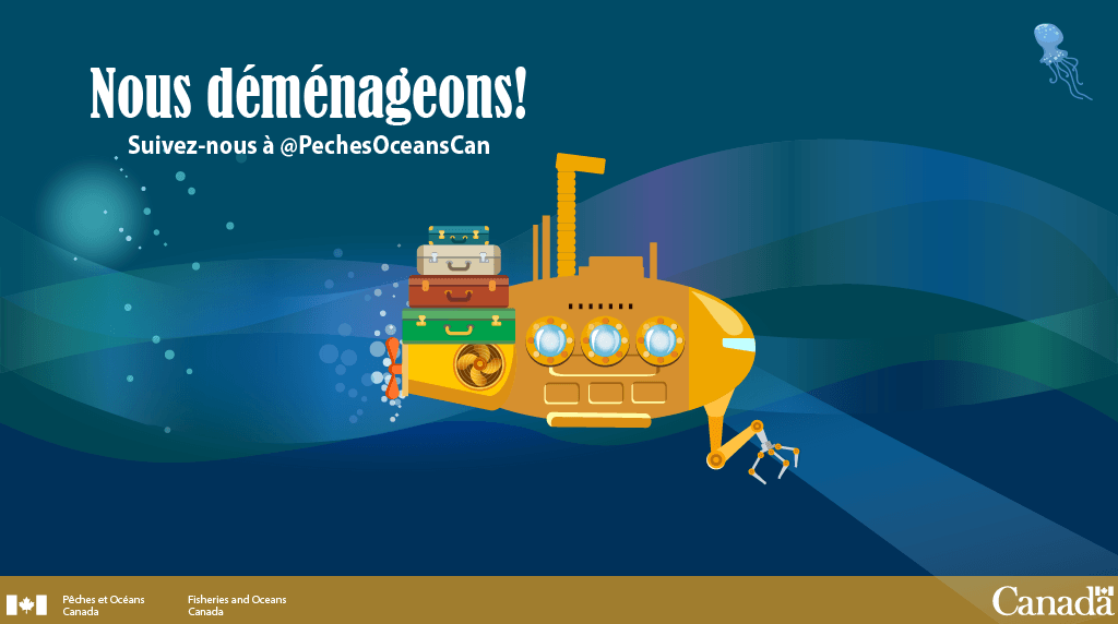 Au cas où vous l’auriez raté, nous nous dirigeons vers <a href="/PechesOceansCAN/">Pêches et Océans</a>. Assurez-vous de nous suivre pour rester informés et engagés sur ce que nous faisons pour protéger nos océans et la vie aquatique.