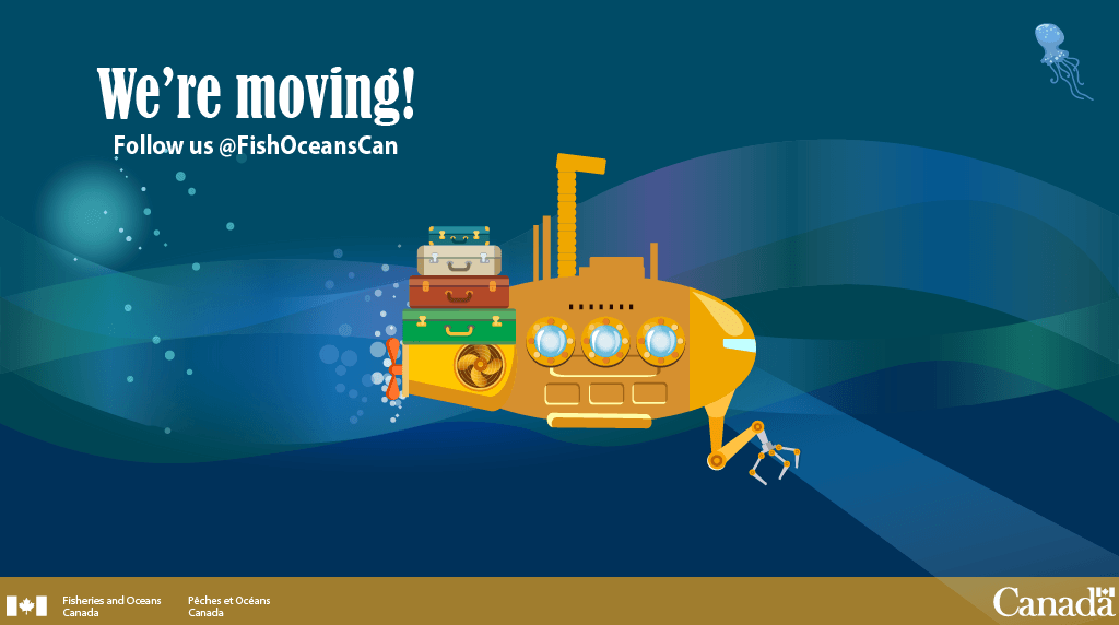 DFO_CCG_Quebec's tweet photo. In case you missed it – we’re moving to @FishOceansCAN. Be sure to follow us to stay informed and engaged on what we’re doing to protect our oceans and aquatic life. https://t.co/N3u4qFR0mR