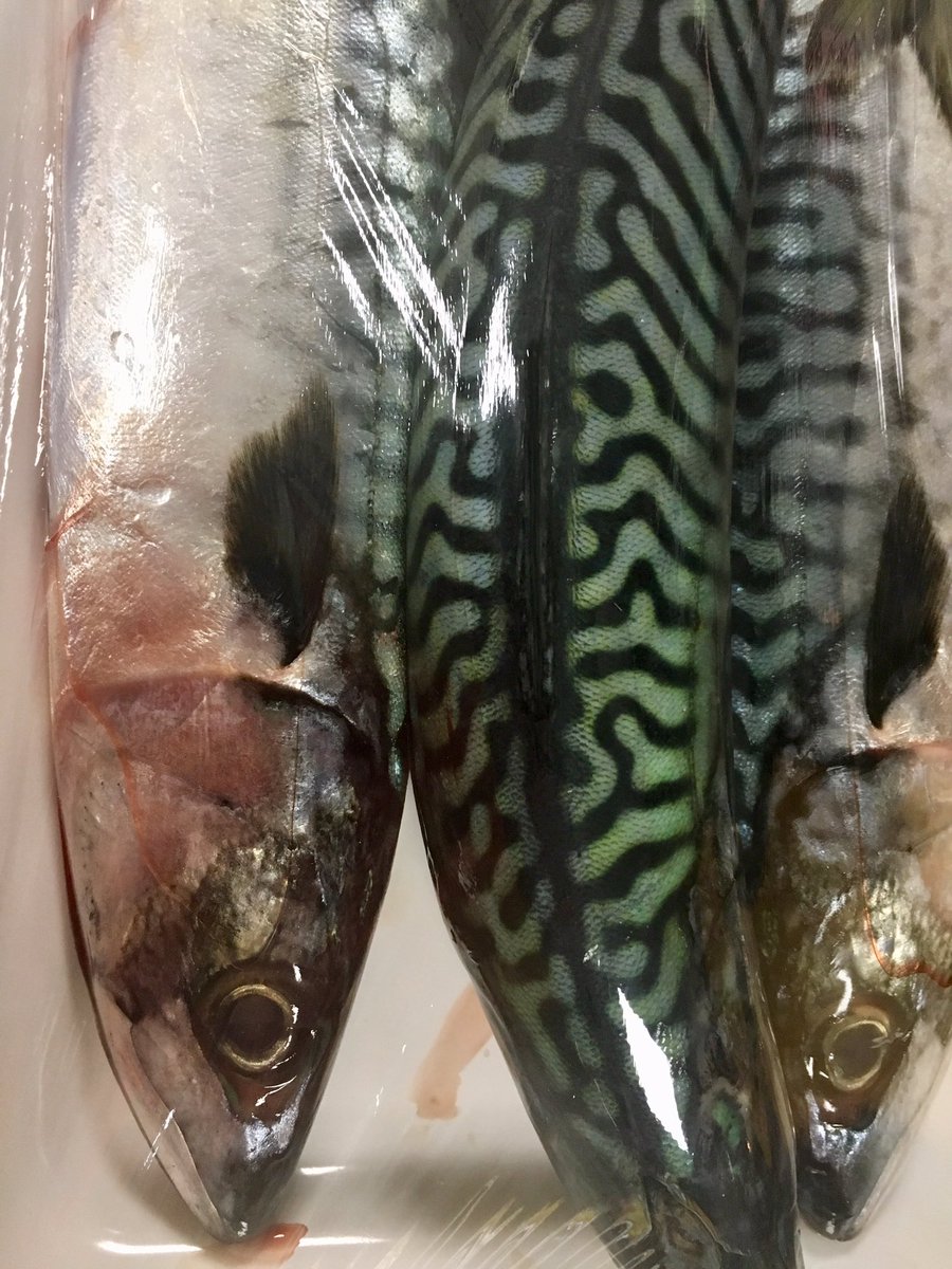 delicionunspeet's tweet image. Topavond in de kookstudio. Liefhebbers geïnspireerd met top ingrediënten, technieken en veel inspiratie. #kookworkshop #kookstudio #nunspeet #sushi