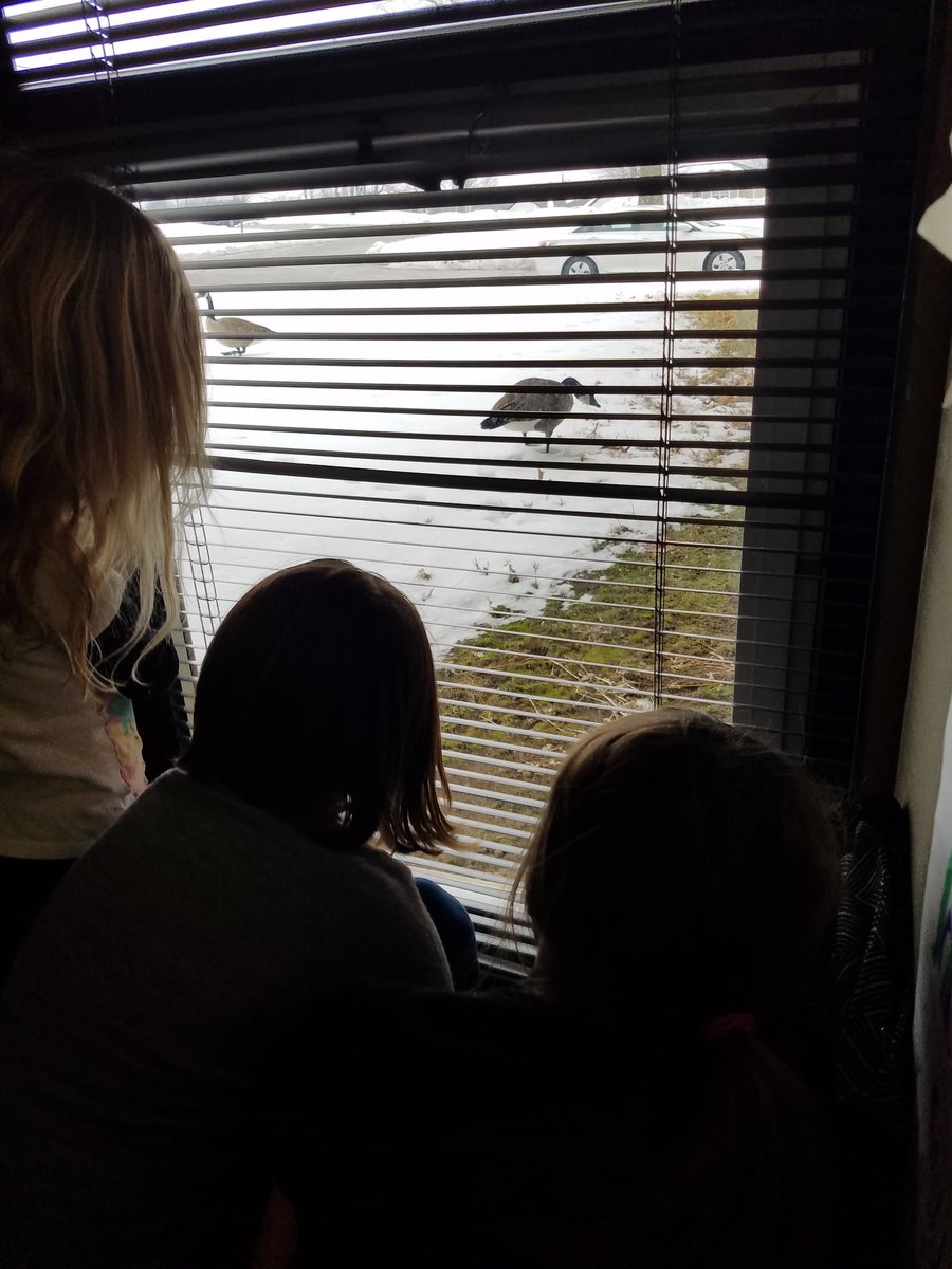 Mrs. Caudill tweet media