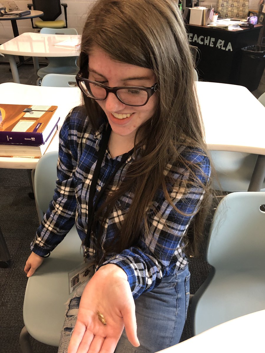 TeenTeacherLA's tweet photo. Apparently Creative Writing calls for creative snacks! This will definitely go down as the most unique #CreativeWritingKrupp #WritersCafe snack of all time! 🦗🦗🦗 #BaconFlavorForTheWin #Crickettes https://t.co/KG7AfvYQZU