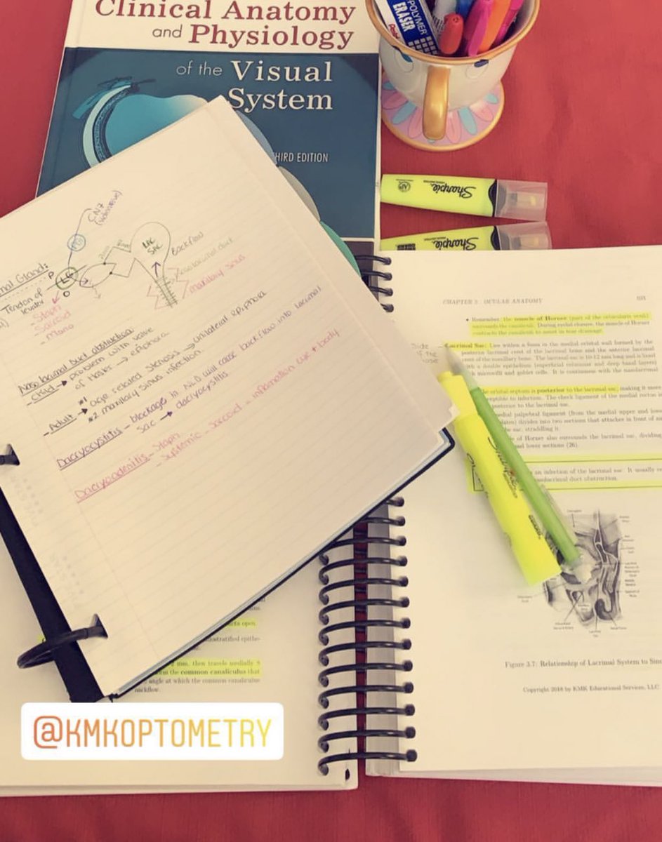 KMKOptometry's tweet photo. 👉🏼 The #weekend is here! Time to crush some review! #optometrystudents all across the nation ••• Lets do this! 😊 #optometrystudentsrock 😎 #hardworkpaysoff #dominate #kmkoptometry https://t.co/rVNB1HEqlZ