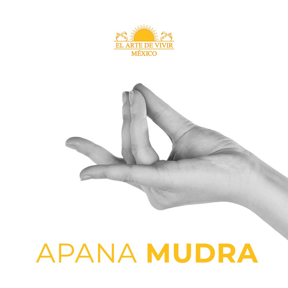 #TipsDeAyurveda 

APANA MUDRA, también llamado Mudra como purificación, es un mudra importante para la desintoxicación y digestión del cuerpo. 🙏 

¿Cómo hacerlo?
Coloca las puntas del dedo medio y anular con el pulgar. Ahora extiende tu dedo meñique y dedo índice. 👌

¡Prueba!