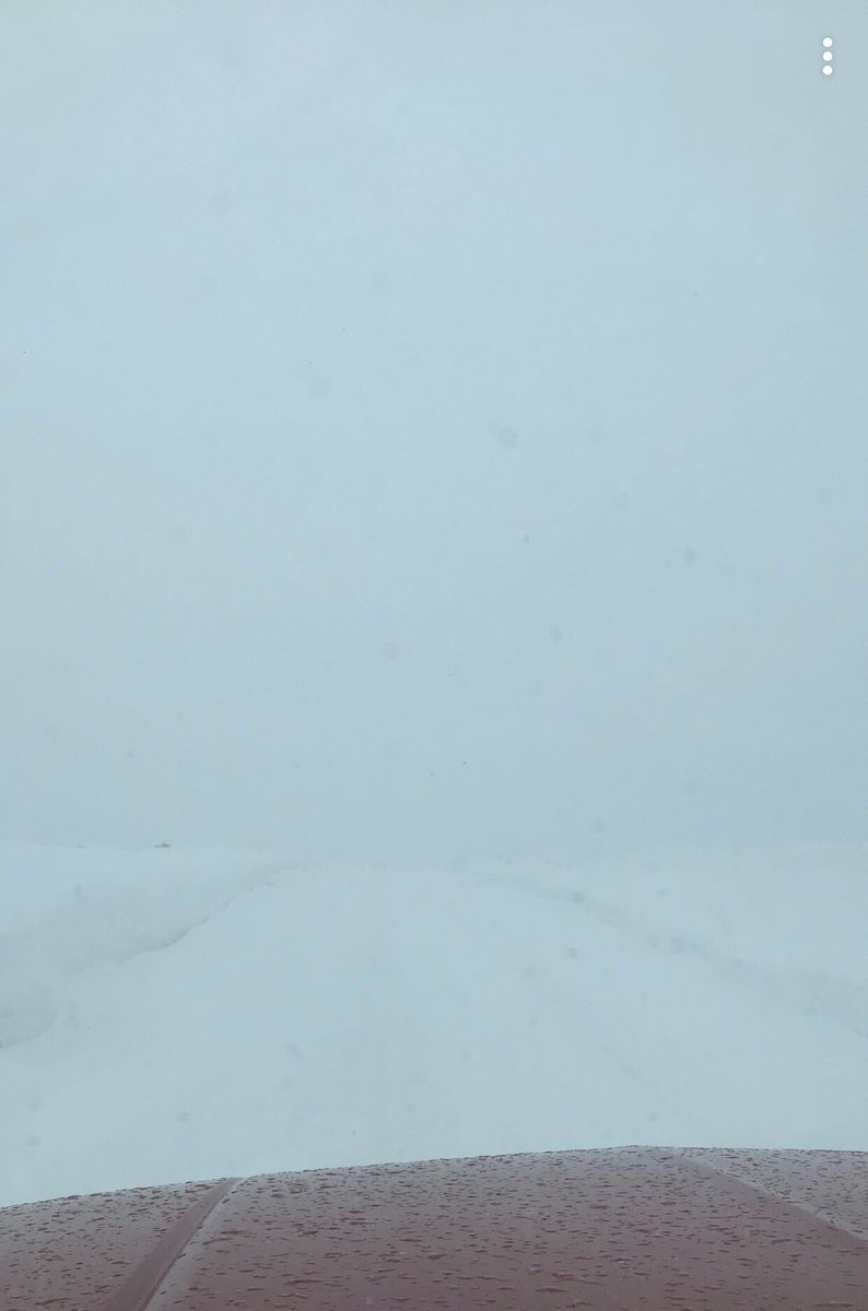 TripleJRanch2's tweet photo. Over it!❄️❄️#whereistheroad #snowsucks #whiteout https://t.co/5racCfwJwp