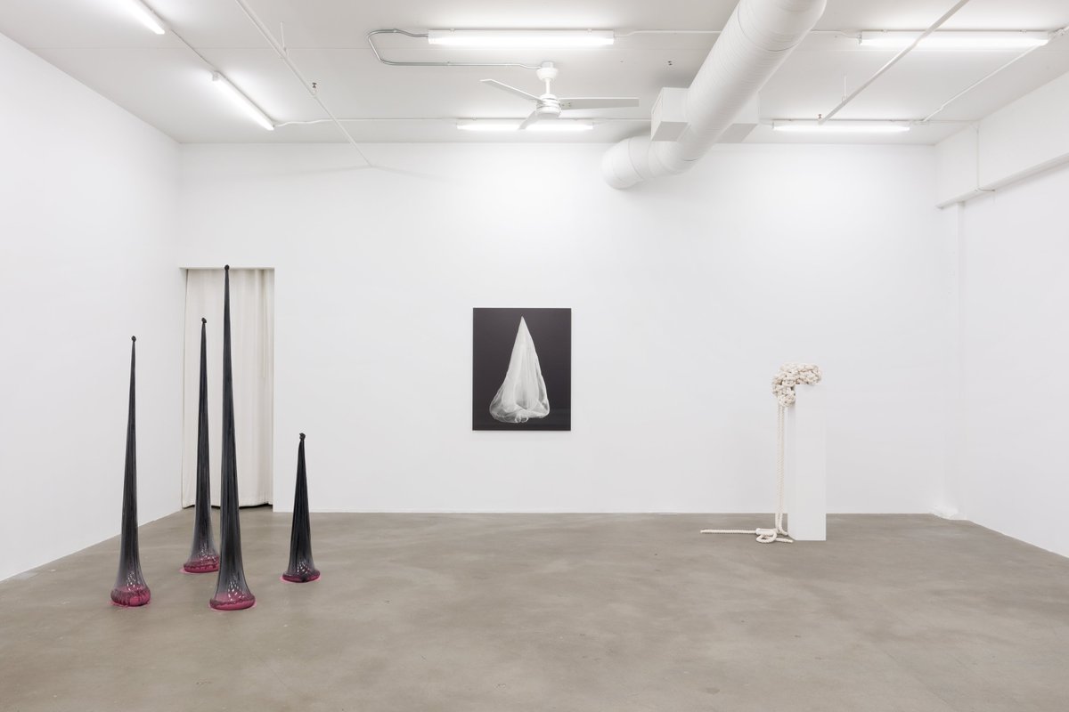 BurrardArts's tweet photo. In #BirthePiontek’s nylon and sand works, there is an evocative mix of materials and aesthetic juxtaposition. 

Join us Saturday, March 2nd, Piontek will give a free talk at #BAFGallery with Rafael Soldi. Find out more: https://t.co/wZ3apTSYrI. https://t.co/Nie4GEW1T5