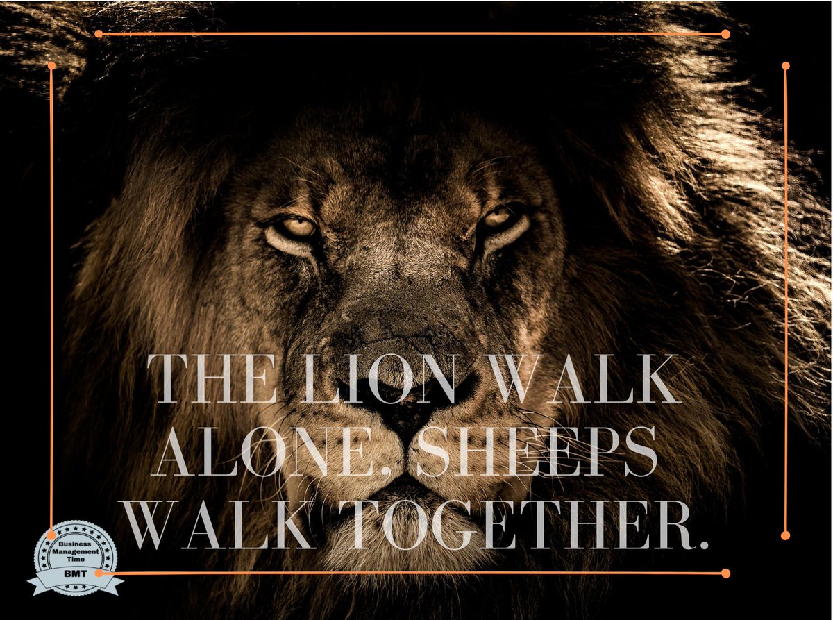 AgencyBmt's tweet photo. Be as strong as a lion,dont be afraid to walk alone.

#BMT #advertising #marketing #marketingtips #motivationalquote #quoteforlife #bestrong #strong #alone #lion #support #socialmediamotivation #moorningquote https://t.co/NsHc3dmUcr