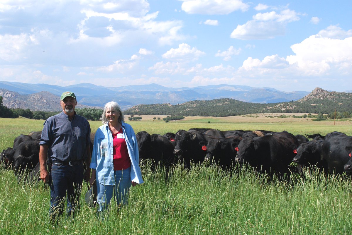 Ranching4Profit's tweet photo. Ranching for Profit is NOT an oxymoron! Many #ranchers seem to think that #profit is dictated by prices &amp; weather ⛈️ 2 things beyond our direct control #Ranching4Profit graduates prove every year that the key to profit is management https://t.co/Ug1Mm4MrIf 🐂 #agtwitter #grassfed https://t.co/6MzAMS3M7J