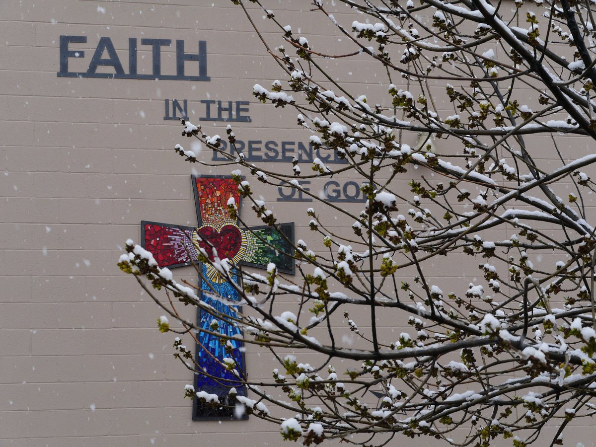 SanMiguelHS's tweet photo. Happy Friday! #RodeoBreak #TucsonSnow https://t.co/9iA3LWYDZv