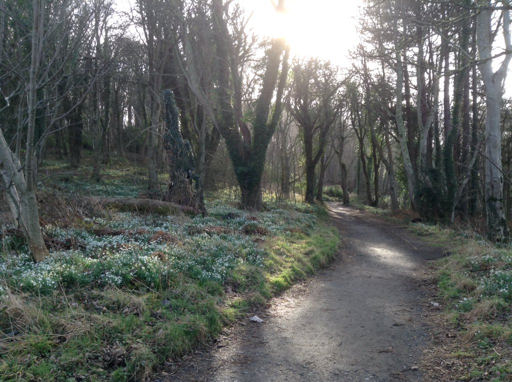 nlyontourscot's tweet photo. #TOURISTGUIDE #ITGD2019 #wftga #STGAGuides
#qualifiedguide #culzeancastle #Ayrshire #robertadam #snowdrops #walks #fun 
2nd tweet !! https://t.co/8XsqRlXURT