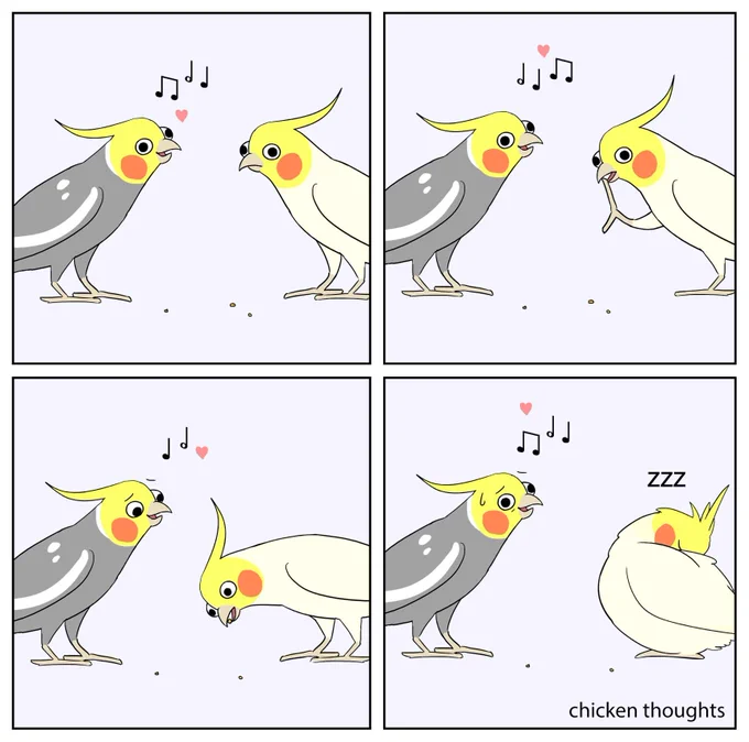 When she's just not into you #birb 