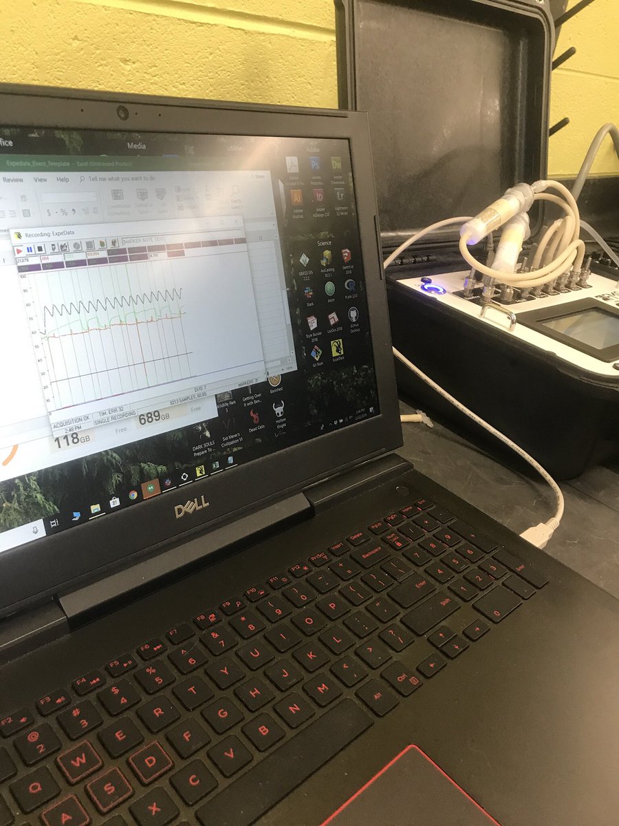 Dr. Brooke Bodensteiner tweet media