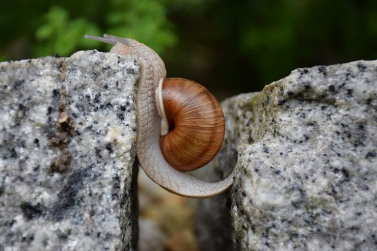 patate9413's tweet photo. La vida forma paisajes
algunos llenos de piedras,
no debes culparte
por tropezar y caer.
Tampoco lamentarte...
las mismas piedras
... te enseñarán
por donde continuar.
#RetoFebrero. 21.Culparte.
#OrgiaDeVersos
Buenas noches 🌙 https://t.co/StdjC8C1KN