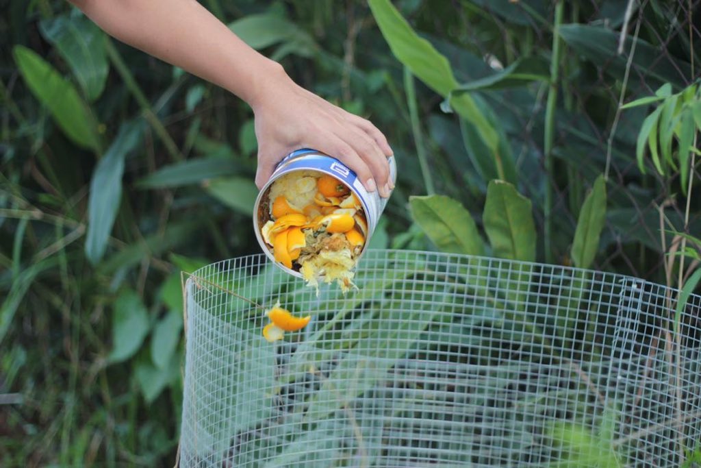 This is a friend from Bentarakata compost bin. Compost bin ni sy belum cuba. Tapi I plan to make it for us later.