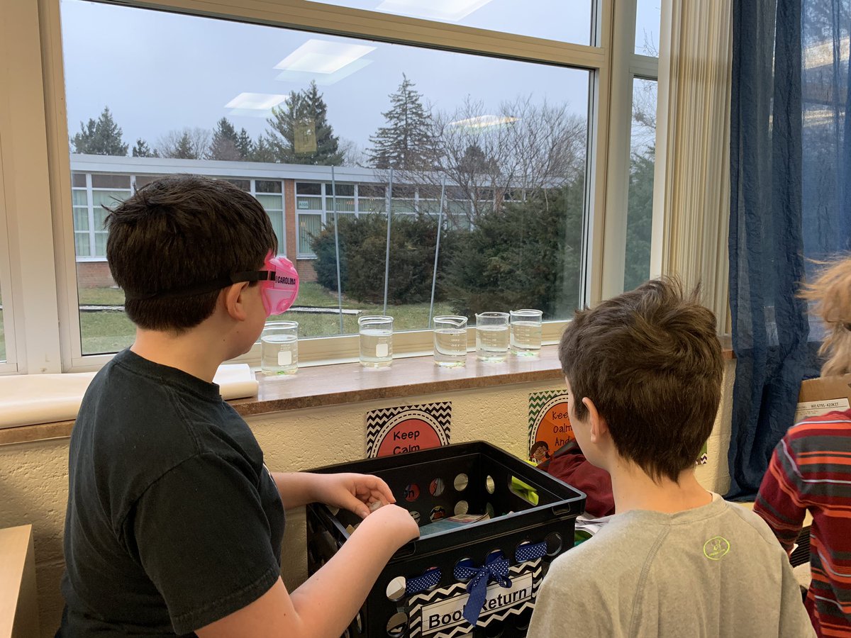 Sara Burden tweet media