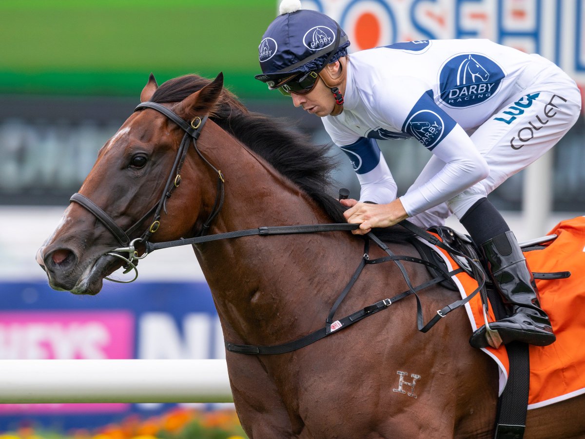 mmsnippets's tweet photo. .@FamousPony46 was on track to snap Time to Reign's barnstorming win in today's Group Two Silver Slipper Stakes at Rosehill. Congrats to @GaryPortelli with the Gold Coast Yearling Sale buy for @Deburghequine & @Darby_Racing from @yarramanpark.
#ClassOf2018
#SlipperBound https://t.co/HLdQUMStch