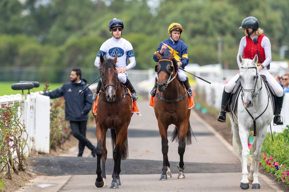 mmsnippets's tweet photo. .@FamousPony46 was on track to snap Time to Reign's barnstorming win in today's Group Two Silver Slipper Stakes at Rosehill. Congrats to @GaryPortelli with the Gold Coast Yearling Sale buy for @Deburghequine & @Darby_Racing from @yarramanpark.
#ClassOf2018
#SlipperBound https://t.co/HLdQUMStch
