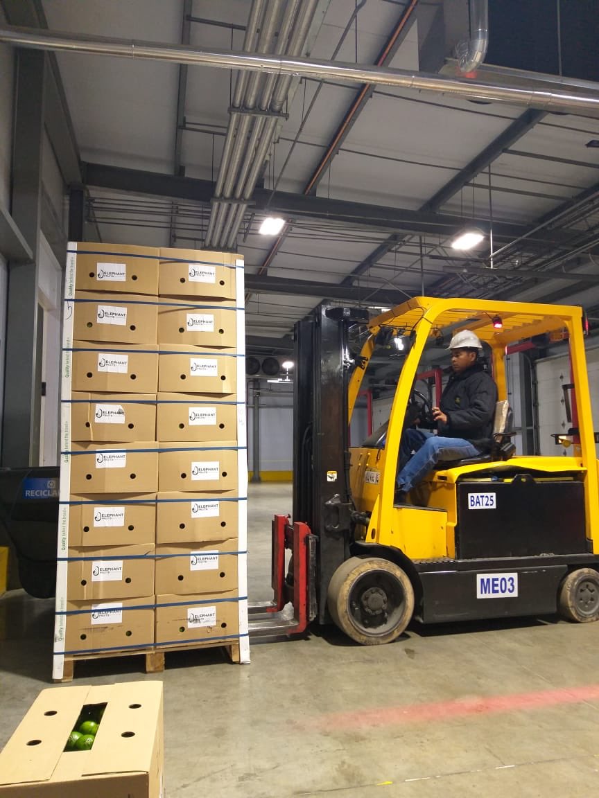 Jhazzbleidy's tweet photo. Con el apoyo de @PROCOLOMBIACO la empresa ELEPHANT FRUITS S.A.S logra su #primeraExportación de Limon a EEUU https://t.co/EJVDJNXArX