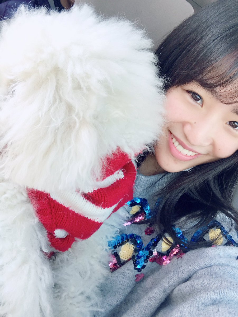 Haruka_NKGW10's tweet photo. 私の愛犬チャチャとテディーにも会えたよ！今は親戚のお家にいるんだけど忘れられたのか全然私の事見てくれなかった😭😭😭😭悲しい。でも2人とも元気そうだった！！可愛がってもらっ���よかった❤️
Ketemu anjing akuuuuuu❤️
Namanya teddy sama chacha😭💓tapi udah lama Gak ketemu jadi mereka lupa😭 https://t.co/QON8OY3H2q