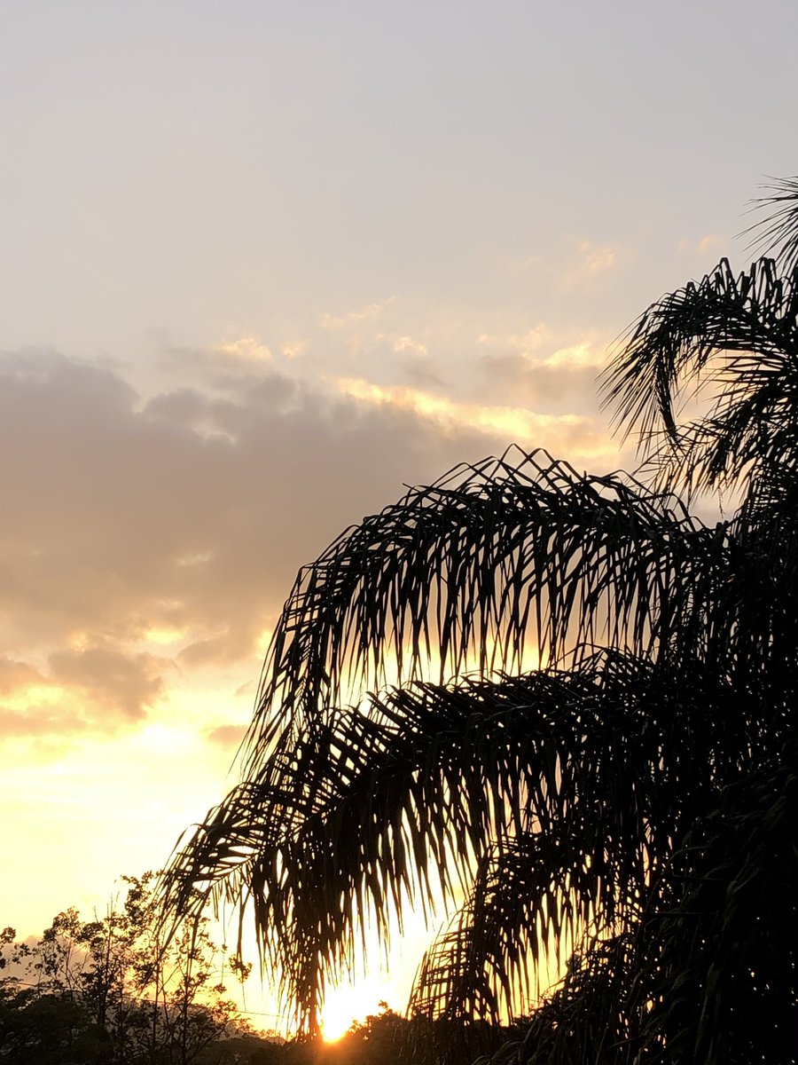 El atardecer de hoy desde mi casa !!