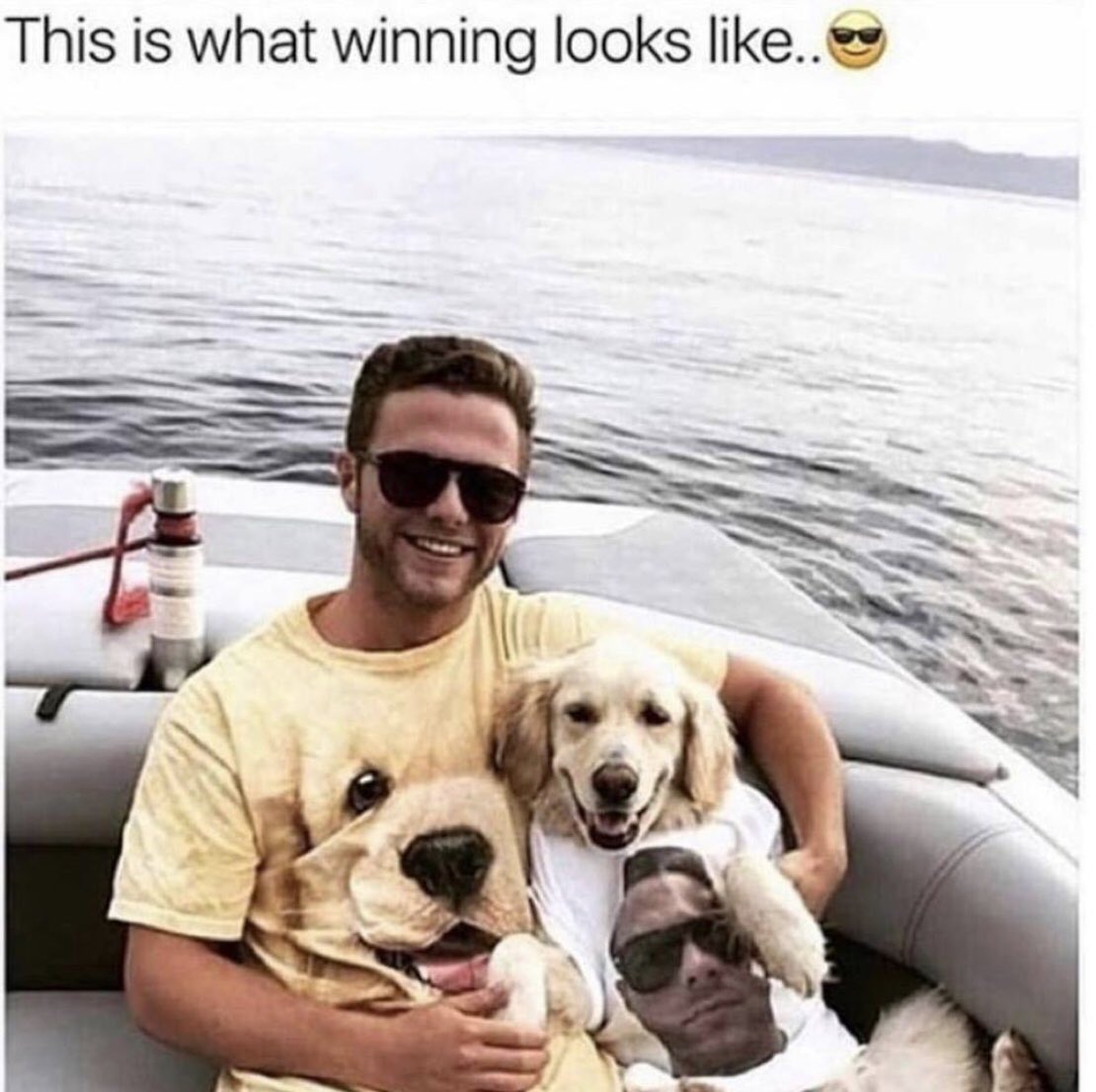 KCtheLabrador's tweet photo. Truth 🐾 https://t.co/kXJ0N4svjj