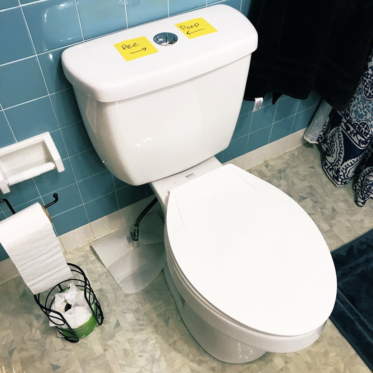 Phil_Raynz's tweet photo. The king has a new throne. Hopefully the jesters will stop clogging it now that it’s of this century. #DadLife #FruitOfMyLoins #RoutineHomeMaintenance #ProjectWeekend #ShinyNewShitter https://t.co/17RRt1deiN