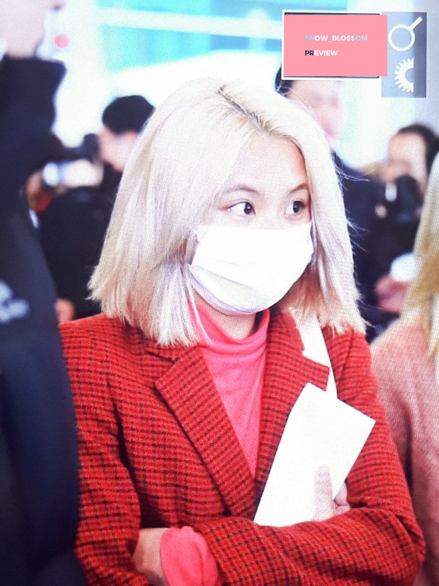❄️눈위의 벚꽃🌸 tweet media